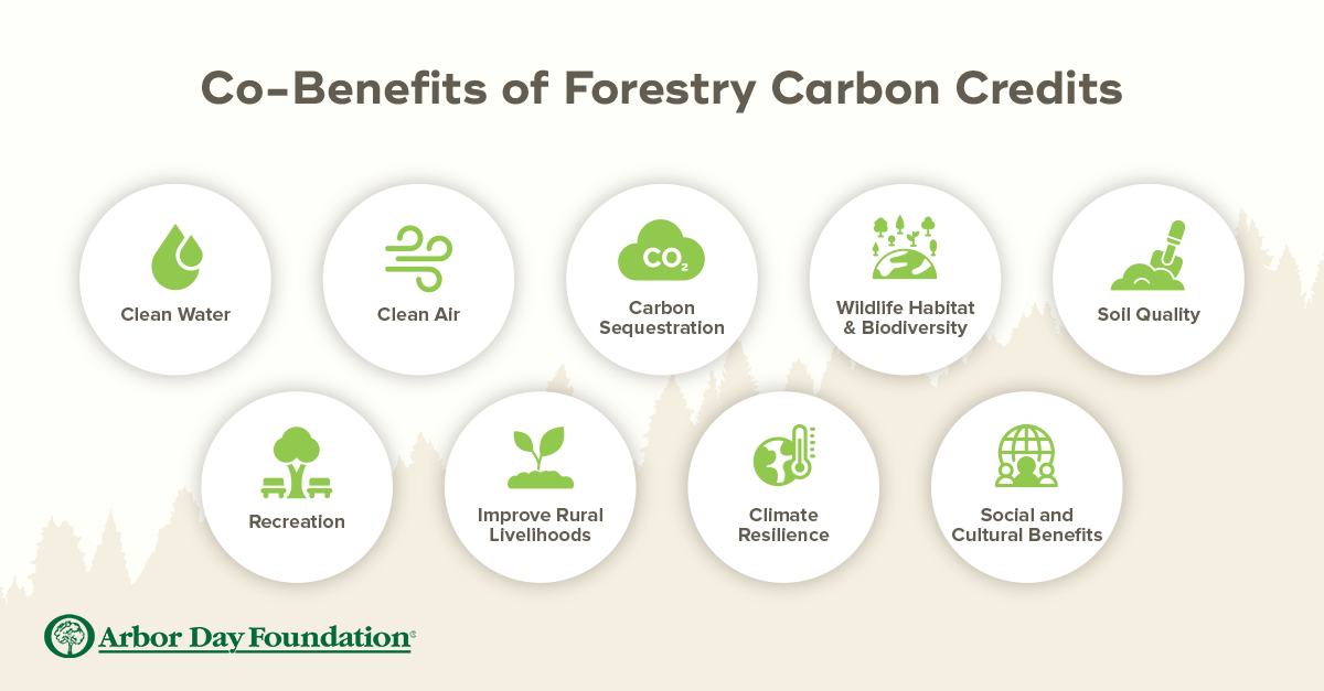 ADC_Carbon-Cobenefits_v1_07-22-24