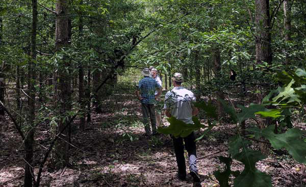 some people standing in a forestry project site, surrounded by trees