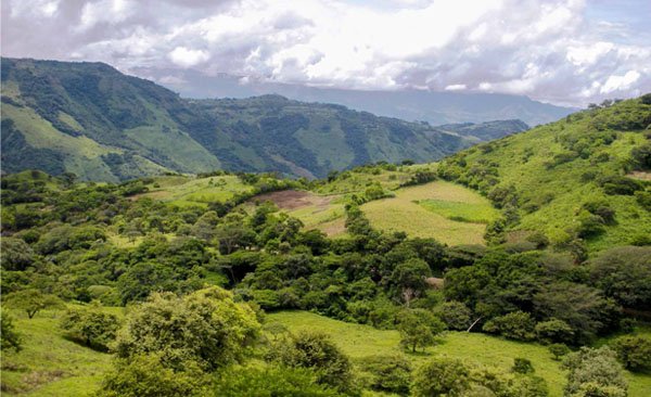green rolling hills in nicaragua